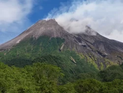 Gunung Merapi Luncurkan Guguran Lava Tujuh Kali Dengan Jarak Luncur Maksimum 1,8 Kilometer