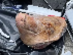 Kebebasan Pers Terancam: Sepuluh Jurnalis Dunia Jadi Korban Represi dan Intimidasi