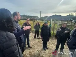 Belajar dari Prancis, Pordasi Siap Tingkatkan Standar Perawatan Kuda Nasional