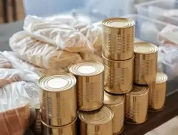 Pakar Peringatkan Bahaya Pengawet Makanan: Dari Gangguan Pencernaan hingga Risiko Kanker