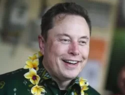 Elon Musk: Arsip Video Vine Telah Ditemukan, Segera Bisa Diakses Kembali